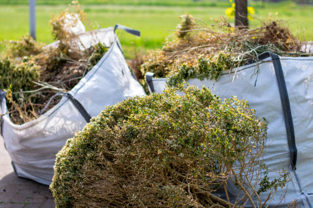 Best Electronics and E-Waste Disposal  in Brusly, LA